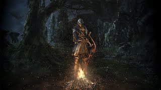 Dark Souls 1 no level challenge run Gwyn Lord Of Cinder no parry [upl. by Patrizius]