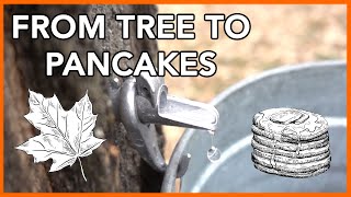 Making Maple Syrup at Home Start to Finish [upl. by Bruno]