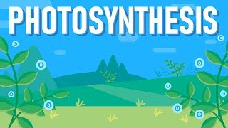 What is Photosynthesis [upl. by Licna]