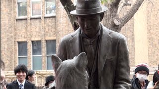 Unveiling of statue depicting Hachi and his owner [upl. by Anastatius790]