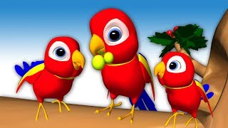 Chitti Chilakamma  Burru Pitta  Birds  3D Animation Telugu Rhymes For children Baby Songs [upl. by Rasmussen283]