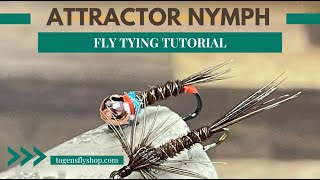 Attractor Nymph  Fly Tying Tutorial [upl. by Eiramanit598]