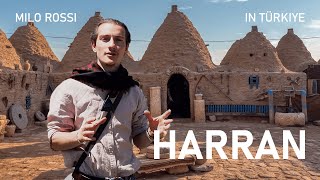 Harran Ruin and Rebirth in the Fertile Crescent [upl. by Nerti]