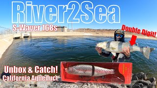 River2Sea SWaver  Unbox amp NEW PB Striped Bass Catch California Aqueduct 2022 [upl. by Meensat]