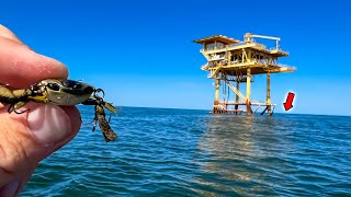 I Tossed This FAKE CRAB on an Offshore Oil Rig and Caught My Dinner [upl. by Ahsonek]