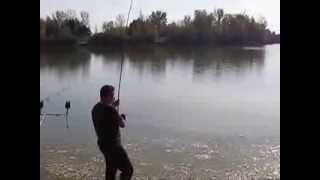 Carp Friends Arad  drill 2013  Pelagicevo Jezero [upl. by Ettenan316]