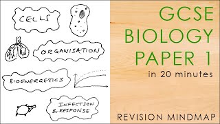 All of BIOLOGY PAPER 1 in 20 mins  GCSE Science Revision Mindmap 91 AQA [upl. by Airekahs]