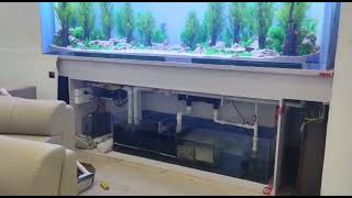 Wonderful Planted Aquarium amp Sump System quotClose Upquot Video [upl. by Eneleh]