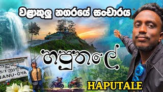 Haputale Sri Lanka Travel Places in Haputale  Things to Do in Haputale  වළාකුලු නගරයේ සංචාරය [upl. by Kussell]