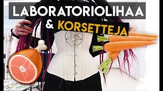 KORSETTEJA amp LABRALIHAA  päivä miun kaa [upl. by Varin140]