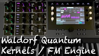 Waldorf Quantum Kernels FM [upl. by Ellenet]