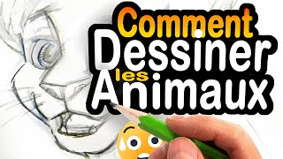 Comment DESSINER les ANIMAUX 😄😺 manga et BD [upl. by Neesay720]