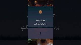 Best Urdu quotes status quotes shorts [upl. by Ellenwahs]