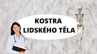 KOSTRA LIDSKÉHO TĚLA  Aneb kolik kostí vlastně máme [upl. by Rehpotsirahc705]