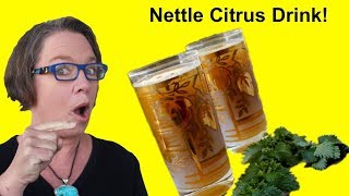 ✅ Nettle Tea with Citrus A Nettle Leaf Tea Recipe Concept for You [upl. by Petronille180]