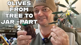 Preserving Olives From Tree to Jar  Part 2 Preparing a Brine Jarring and when to use your Olives [upl. by Dranoel919]