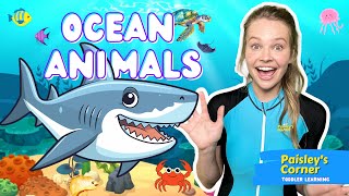 Toddler Learning  Learn Ocean Animals  Educational Videos for Kids  Learning Videos for Toddlers [upl. by Attinahs]