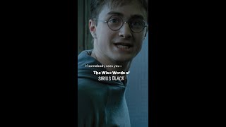 Sirius Blacks words of wisdom HarryPotter SiriusBlack [upl. by Leon]