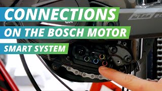 Connections on the Bosch Smart System  EBIKE24 [upl. by Enillebyam390]