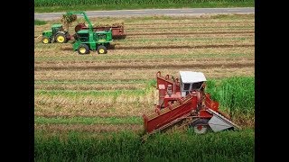 Louisiana Sugarcane planting 2018 4K Drone Video [upl. by Oringa]