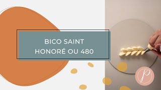 Decorações com o bico Saint Honoré ou 480  Patrícia Brüske confeitariafrancesa [upl. by Erbas496]