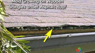 Home Inspection  Roofs  Part 3 of 3 [upl. by Ande]