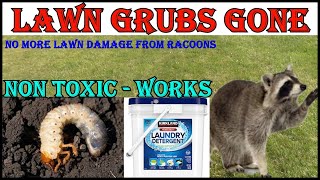 No More Lawn Grubs  No More Raccoons Digging Up My Lawn [upl. by Binny44]