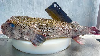 7kg porcupine puffer fish 6dish recipe for porcupine puffer fish in the kitchen  Vn Chef [upl. by Ardek]