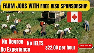 Farm Jobs in Canada with Free Visa Sponsorship  No Experience No Education No IELTS Apply NOW [upl. by Kellie944]