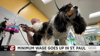 City of St Paul increases minimum wage for small businesses [upl. by Mariska]