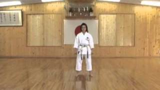 KARATE KATA SATU WITH SLOW MOTION [upl. by Eremahs]