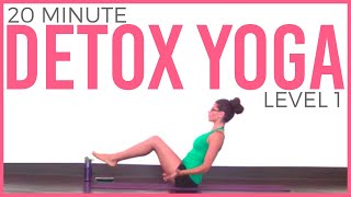 20 minute Yoga for Detox and Digestion Level 1 [upl. by Avle763]