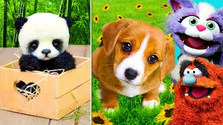 CUTEST TIKTOK ANIMALS That Will Make You Laugh Compilation  Preston amp Brianna FUNNY [upl. by Ahker]