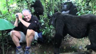 Extraordinary Encounter with Mountain Gorillas in Bwindi Uganda [upl. by Sorodoeht417]