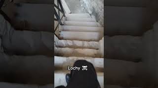 Lochy ☠️🕷️ [upl. by Gayel656]