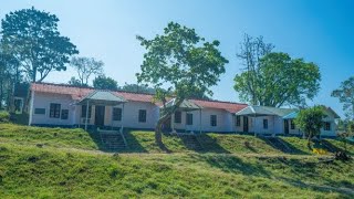 Stay at Anamalai Tiger Reserve  Topslip  Bison House [upl. by Blayne]