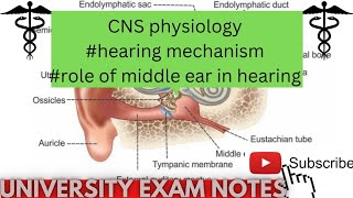 mechanism of hearing physiologyrole of middle ear in hearingmedicoscontent3135 [upl. by Anej]