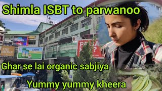 Shimla ISBT 🚎 to parwanoo 🧬😎viralvideo vlog travel pahadi trending pahadee girl [upl. by Nalyorf668]