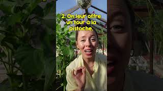 Opération sauvetage des plantes au retour des vacances [upl. by Yttisahc]