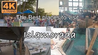 The Florida Keys at Islamorada  Best Places floridakeys floridakeyslife islamorada [upl. by Anastos]