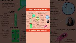 Got 30 minutes Join us to revise Biology Paper 1 ✨ freesciencelessons biology biologypaper1 fyp [upl. by Aneeb304]