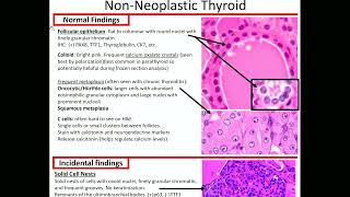 NonNeoplastic Thyroid Kurts Notes pathagonia [upl. by Atilol836]