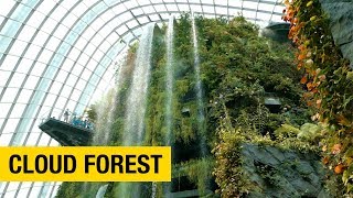 A Tour of Gardens by the Bay in Singapore Part 2 – Cloud Forest [upl. by Aciruam432]