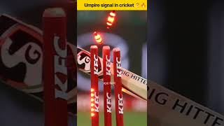 Umpire signal 🔥 अंपायर के हाथो का संकेत 👉 shortsviral amazingfacts cricket ytshorts [upl. by Kathi]