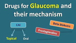 Drugs for Glaucoma and their mechanism of action  Drugs for topical and oral use [upl. by Ijnek928]