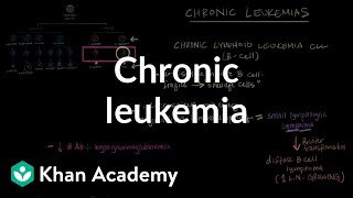 Chronic leukemia  Hematologic System Diseases  NCLEXRN  Khan Academy [upl. by Pahl]