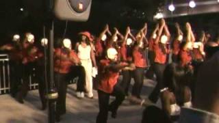 Delta Sigma Theta Lambda Psi 2010 Probate Part 6 [upl. by Esorylime974]