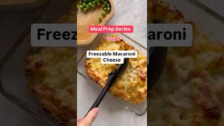 ✨Day 8  New MEAL PREP series ✨ Freezable Mac amp Cheese 🧀 Daily meal prep recipes tips amp advice… [upl. by Oyam791]