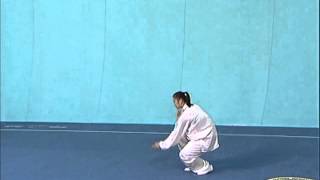 IWUF Taolu 3rd Set Taijiquan Tai Chi [upl. by Merlin]