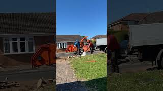 Conifer hedge removal arborist treework chainsaw [upl. by Nicolai]